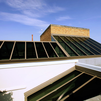 Custom Ridge Single Slope Skylight