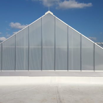 Horizon Intersecting Ridges, (4) 34’ x 25’, 8/12 Pitch. Glazing: 20mm Opal IR Standing Seam Multiwall Polycarbonate Skin System, FRP Replacement. Finish: Clear Anodize.