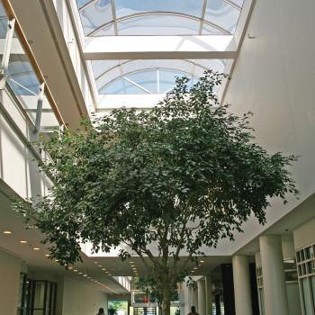 Interior - Acrylic Barrel Vault