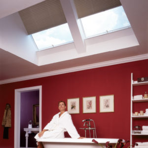 Skylight Shades